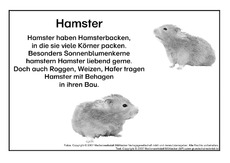 Hamster-SW.pdf